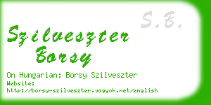 szilveszter borsy business card